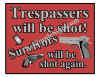 Bar Sign 13 Trespassers Shot.jpg (134382 bytes)