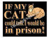 Bar Sign 17 Cat Talk Prison.jpg (137013 bytes)